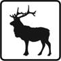 Elk